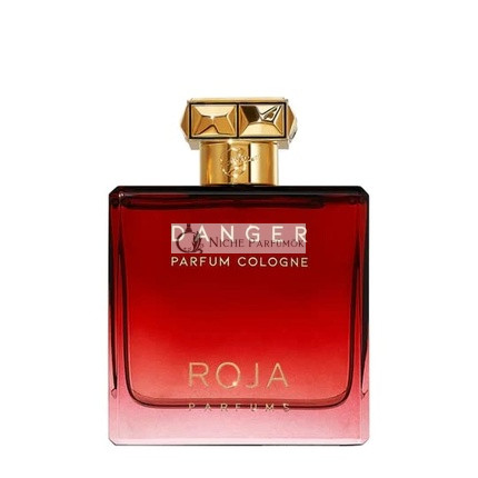 Roja Parfums Danger kolínska voda pre mužov 100 ml