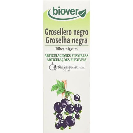 Biover Organický Certifikovaný Fľaškový Extrakt z Čiernych Ríbezlí 50ml