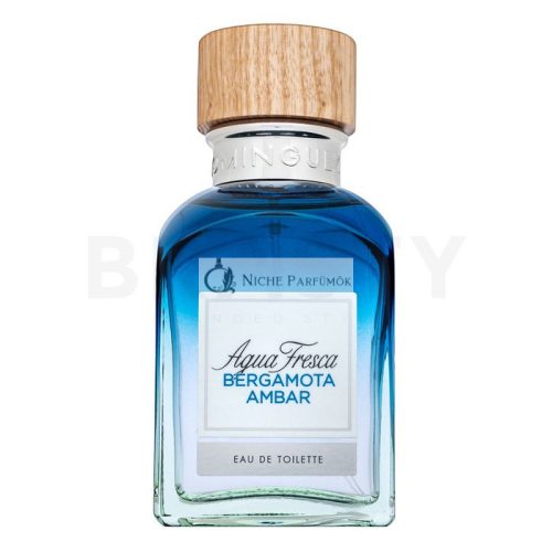 Adolfo Dominguez Agua Fresca Bergamota Ambar toaletná voda pre mužov 120 ml