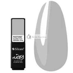 Silcare FLEXY 21/2 Trendové farby roka 4.5g