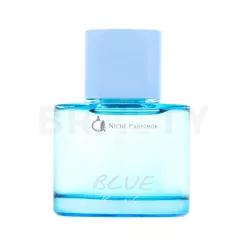Kenneth Cole Blue toaletná voda pre mužov 100 ml