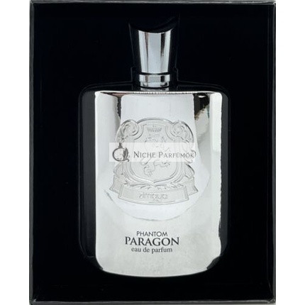 Zimaya Phantom Paragon parfémovaná voda pre mužov 100 ml