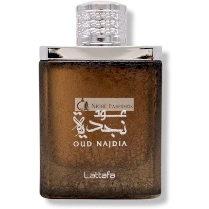 Lattafa Oud Najdia parfémovaná voda pre mužov 100 ml