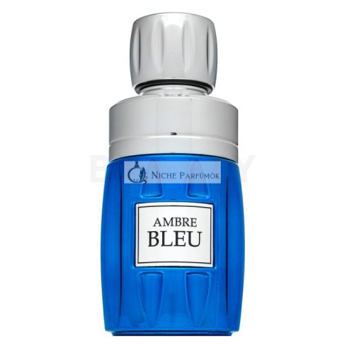 Rave Ambre Bleu parfémovaná voda pre mužov 100 ml