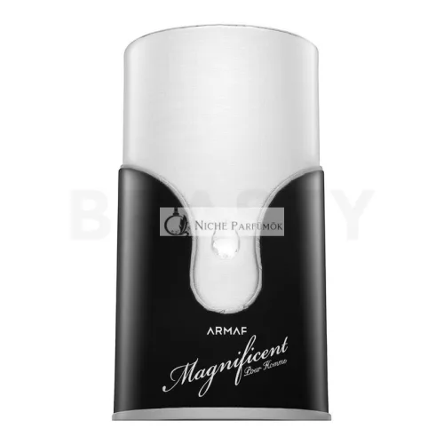 Armaf Magnificent Pour Homme parfémovaná voda pre mužov 100 ml