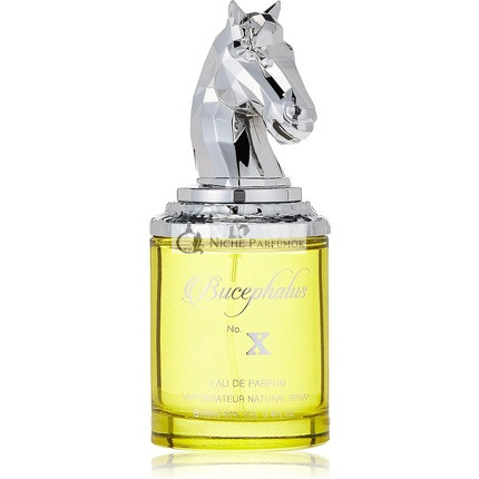 Armaf Bucephalus No. X parfémovaná voda pre mužov 100 ml