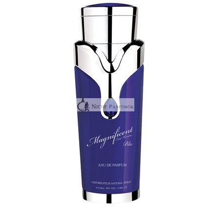 Armaf Magnificent Blue Pour Homme parfémovaná voda pre mužov 100 ml