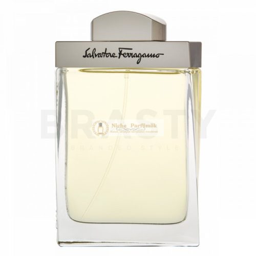 Salvatore Ferragamo Pour Homme toaletná voda pre mužov 100 ml