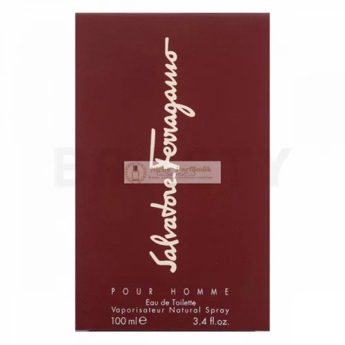 Salvatore Ferragamo Pour Homme toaletná voda pre mužov 100 ml