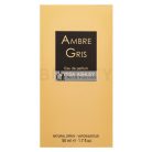 Alyssa Ashley Ambre Gris parfémovaná voda pre ženy 50 ml