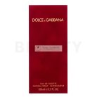 Dolce & Gabbana Femme toaletná voda pre ženy 100 ml