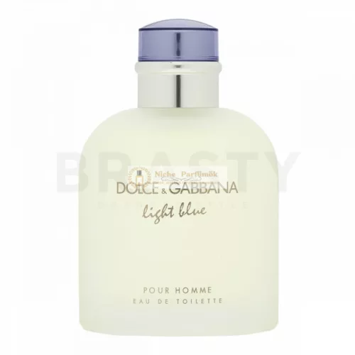 Dolce & Gabbana Light Blue Pour Homme toaletná voda pre mužov 125 ml
