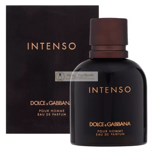 Dolce & Gabbana Pour Homme Intenso parfémovaná voda pre mužov 75 ml