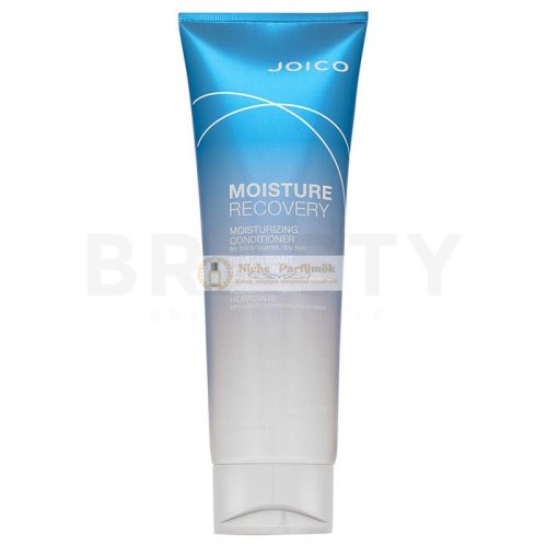 Joico Moisture Recovery Conditioner vyživujúci kondicionér pre suché vlasy 250 ml