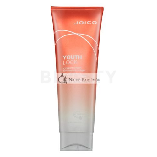 Joico Youth Lock Conditioner kondicionér pre ochranu a lesk vlasov 250 ml