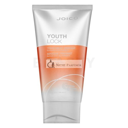 Joico Youth Lock Treatment Mask maska pre ochranu a lesk vlasov 150 ml