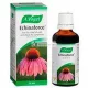 Bioforce Echinaforce 50ml