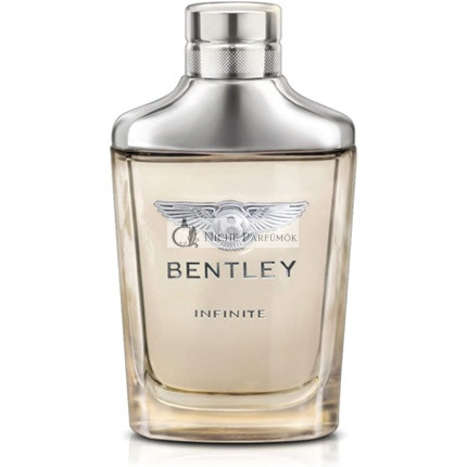 Bentley Infinite toaletná voda pre mužov 100 ml