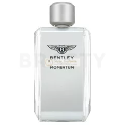 Bentley Momentum toaletná voda pre mužov 100 ml