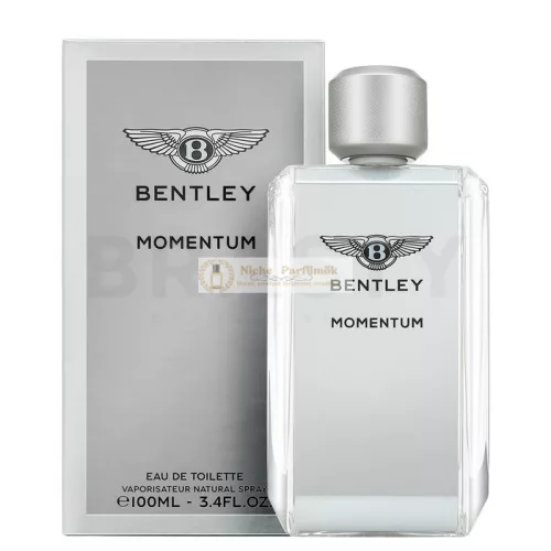 Bentley Momentum toaletná voda pre mužov 100 ml