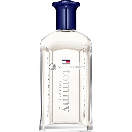 Tommy Hilfiger Tommy Forever Eau De Toilette, 100 ml
