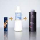 Wella Professionals Koleston Perfect Me+ Pure Naturals profesionálna permanentná farba na vlasy 2/0 60 ml