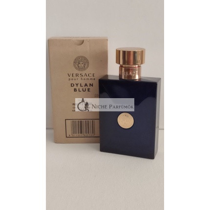 Versace Pour Homme Dylan Blue Eau De Toilette pánsky sprej, 100ml