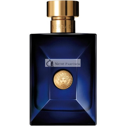 Versace Dylan Blue toaletná voda pre mužov 200 ml
