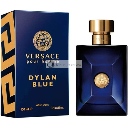 Versace Pour Homme Dylan Blue After Shave Lotion pre mužov, 100ml