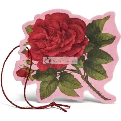   L'Erbolario Pink PURPUREA Kvetinový Vôňa Multipurpose