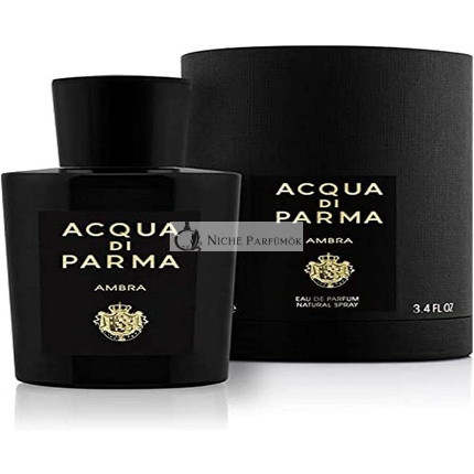 Acqua di Parma Ambra parfémovaná voda unisex 100 ml