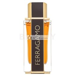   Salvatore Ferragamo Spicy Leather Special Edition parfémovaná voda pre mužov 100 ml