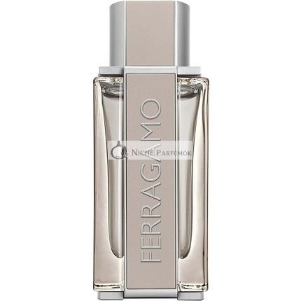 Salvatore Ferragamo Bright Leather Pánsky Eau De Toilette, 100ml