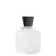 ROBERTO CAPUCCI Eau de Toilette pre mužov, 100ml