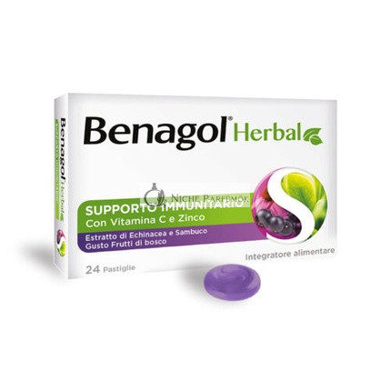 Kräuterbeeren Benagol 24 tabliet