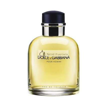 Dolce & Gabbana Pour Homme Eau de Toilette pre mužov, 200ml