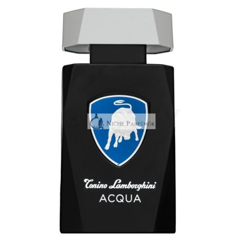 Tonino Lamborghini Acqua toaletná voda pre mužov 125 ml
