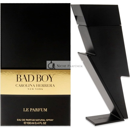 Carolina Herrera Bad Boy Le Parfum parfémovaná voda pre mužov 100 ml