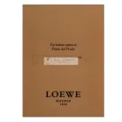 Loewe Un Balcón Sobre El Paseo Del Prado parfémovaná voda unisex 100 ml