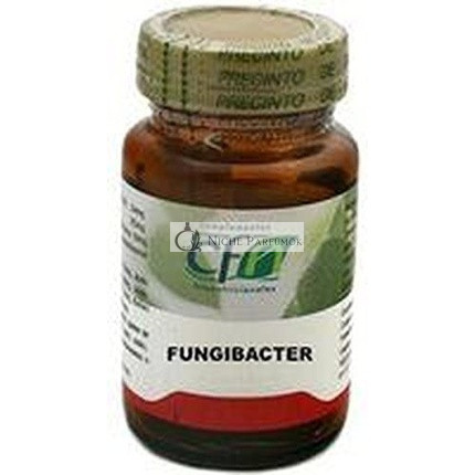 Fungibacter 60 kapsúl