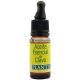 Essence Kúra na Nechty 10 Ml