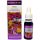 Flowers of Life Mood certifikovaný organický prírodný kvetinový prostriedok, 15ml kvapkadlo a sprej