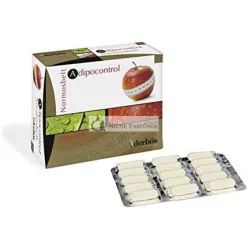 Derbós Adipocontrol 60 Kapsúl