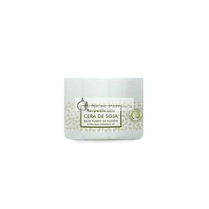 Terpenic Sójový vosk B P F, 100g