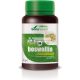 Mgdose Boswelia 1000mg, 30 tabliet