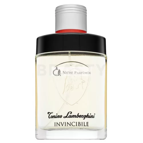 Tonino Lamborghini Invincibile toaletná voda pre mužov 125 ml