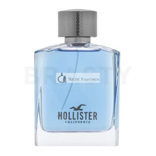 Hollister Wave For Him toaletná voda pre mužov 100 ml