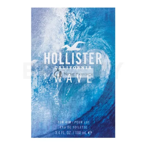 Hollister Wave For Him toaletná voda pre mužov 100 ml