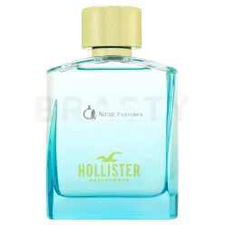   Hollister Wave 2 For Him toaletná voda pre mužov 100 ml