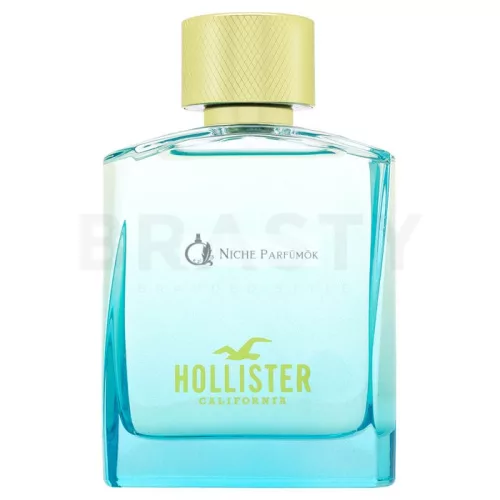 Hollister Wave 2 For Him toaletná voda pre mužov 100 ml